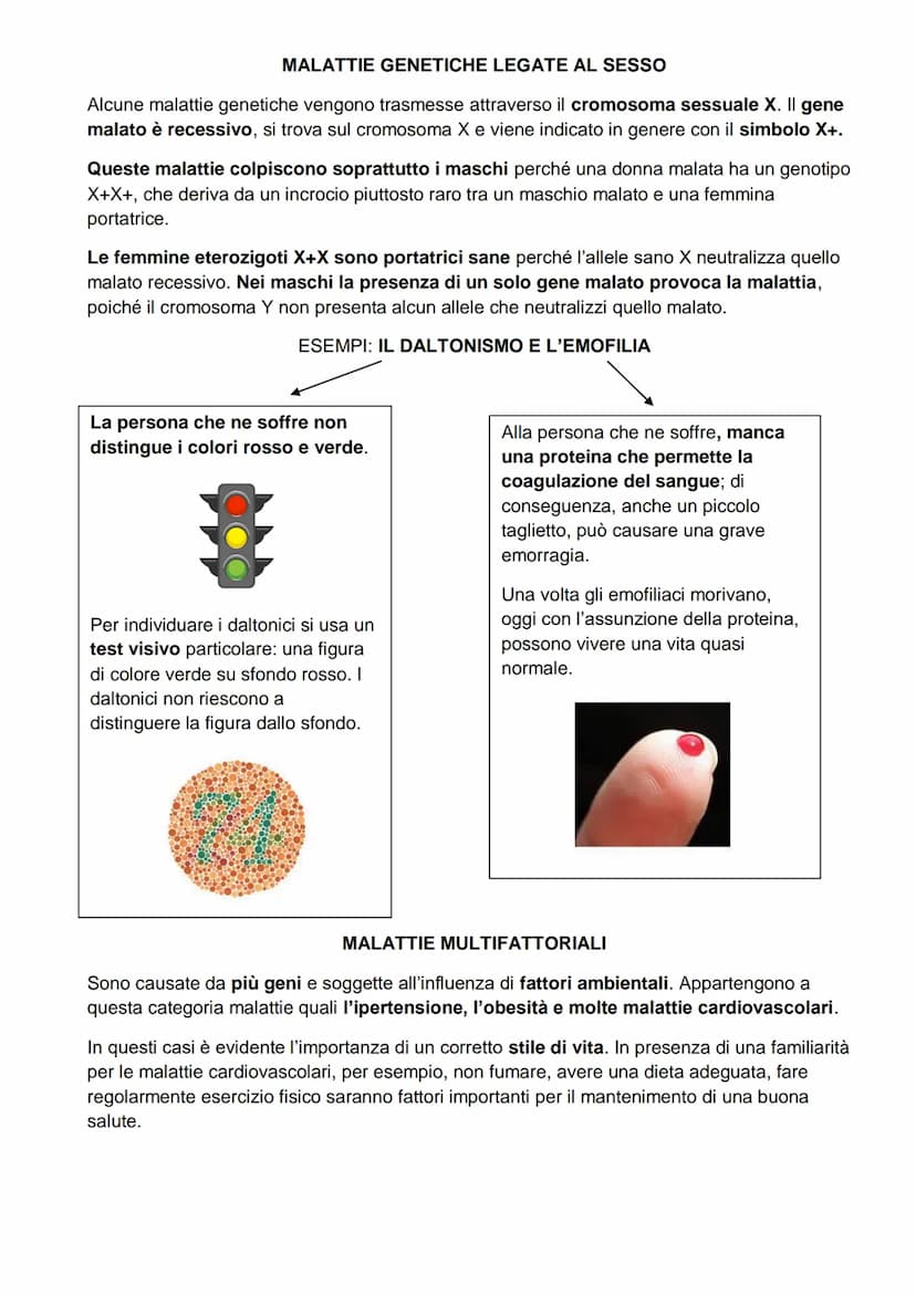 Si definiscono malattie ereditarie tutte quelle malattie che si trasmettono da una
generazione all'altra.
Le malattie ereditarie sono tutte 
