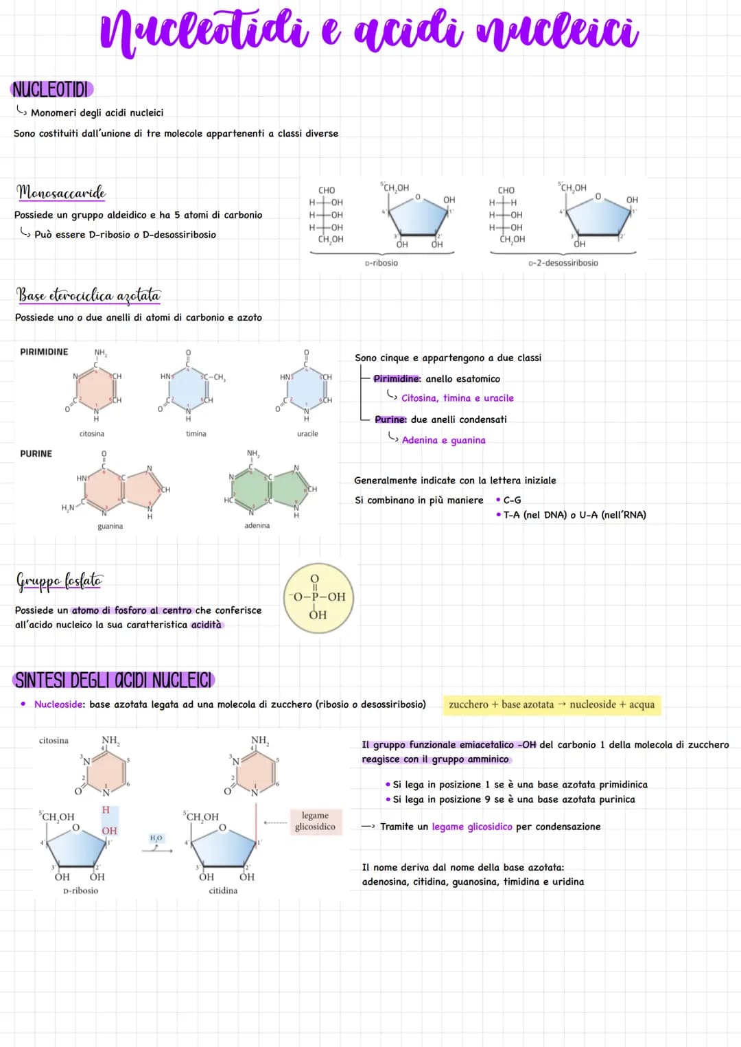 # Nucleotidi e acidi nucleici

NUCLEOTIDI

*   Monomeri degli acidi nucleici

Sono costituiti dall'unione di tre molecole appartenenti a cla