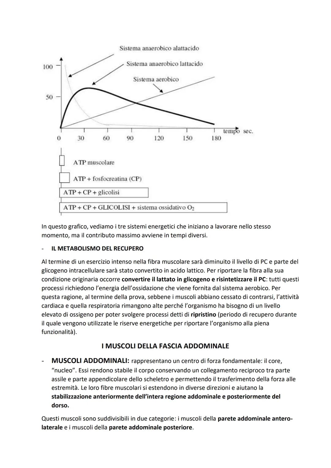 SISTEMA MUSCOLARE
L'azione caratteristica del muscolo, che è la parte contrattile dell'apparato locomotore, è la
contrazione. Il risultato p