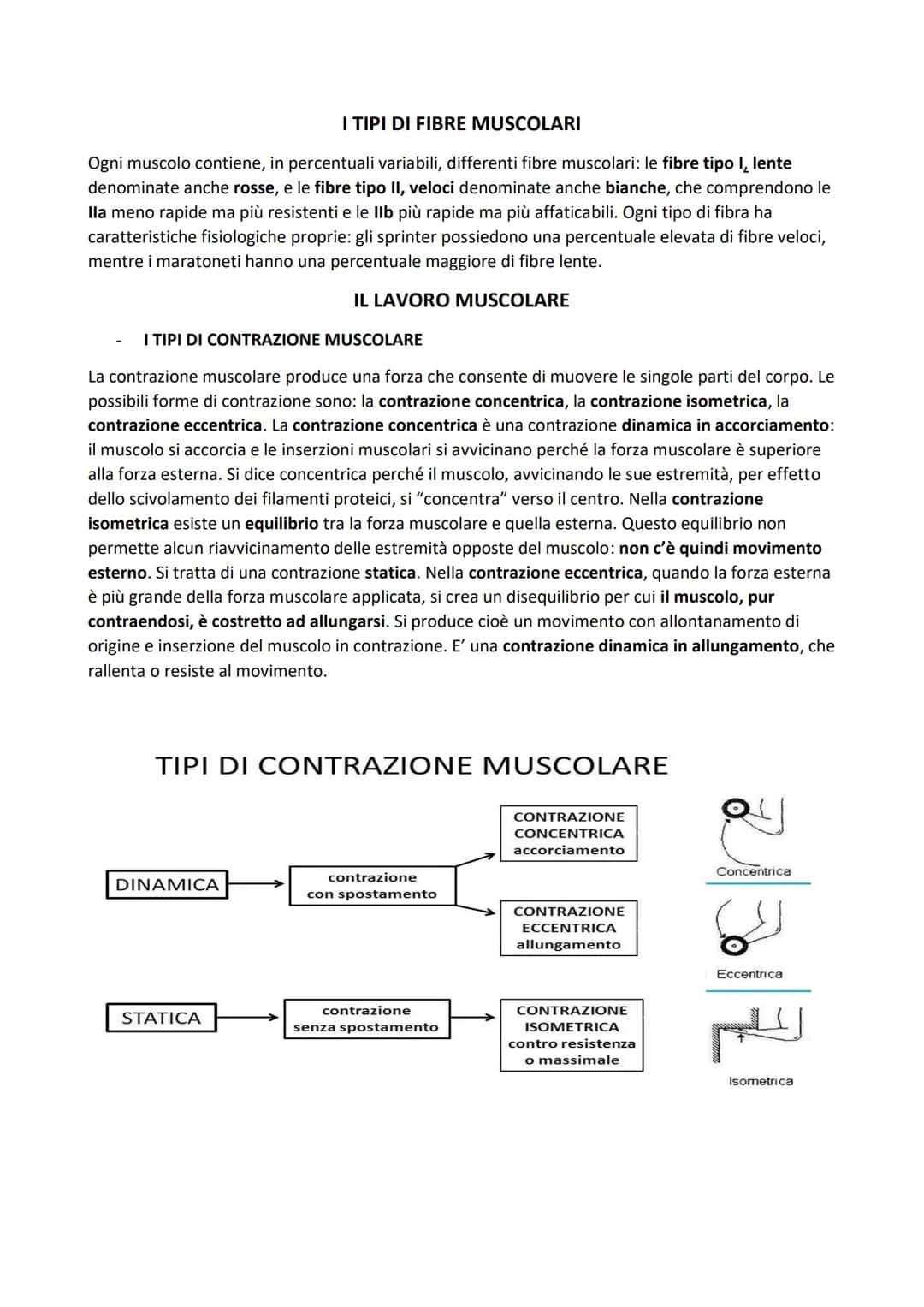 SISTEMA MUSCOLARE
L'azione caratteristica del muscolo, che è la parte contrattile dell'apparato locomotore, è la
contrazione. Il risultato p