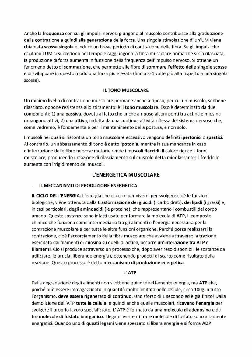 SISTEMA MUSCOLARE
L'azione caratteristica del muscolo, che è la parte contrattile dell'apparato locomotore, è la
contrazione. Il risultato p