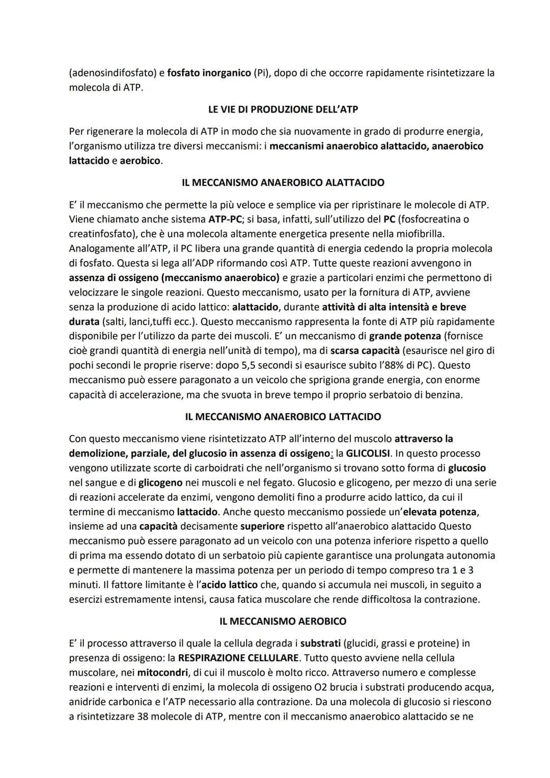 SISTEMA MUSCOLARE
L'azione caratteristica del muscolo, che è la parte contrattile dell'apparato locomotore, è la
contrazione. Il risultato p