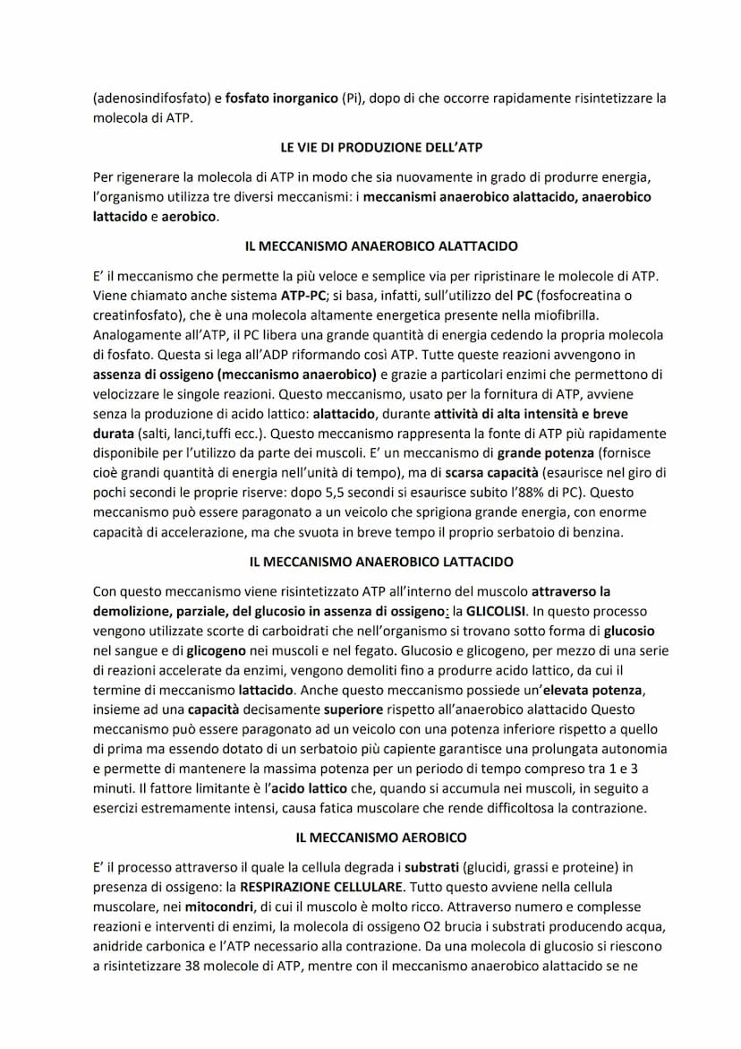 SISTEMA MUSCOLARE
L'azione caratteristica del muscolo, che è la parte contrattile dell'apparato locomotore, è la
contrazione. Il risultato p