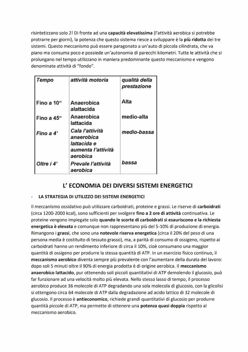 SISTEMA MUSCOLARE
L'azione caratteristica del muscolo, che è la parte contrattile dell'apparato locomotore, è la
contrazione. Il risultato p