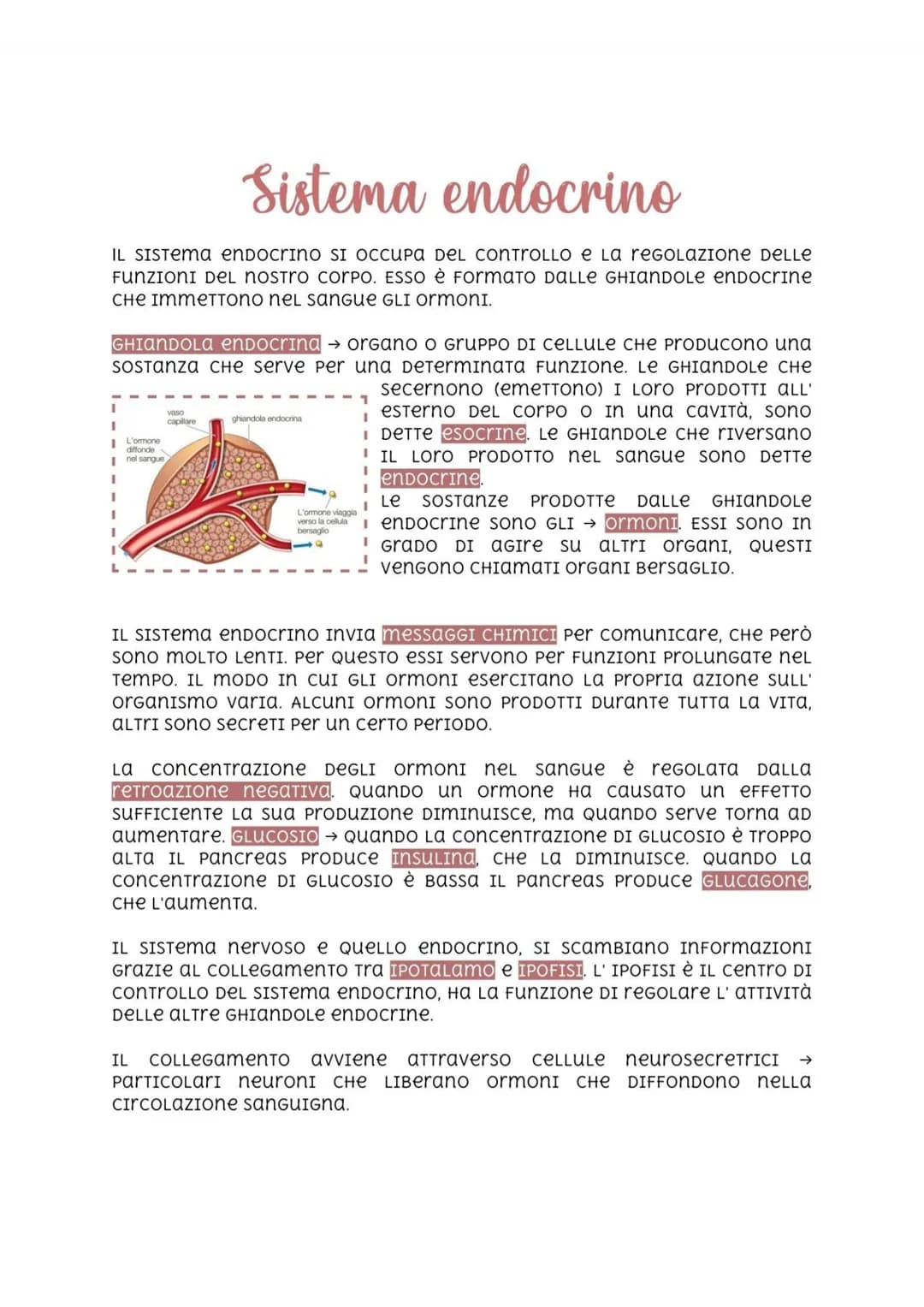 Sistema endocrino
IL SISTema endocrino SI OCCUPA DEL CONTROLLO e La reGOLAZIONE DELLE
FUNZIONI DEL nostro corpo. ESSO è FormaTO DALLE GHIAND