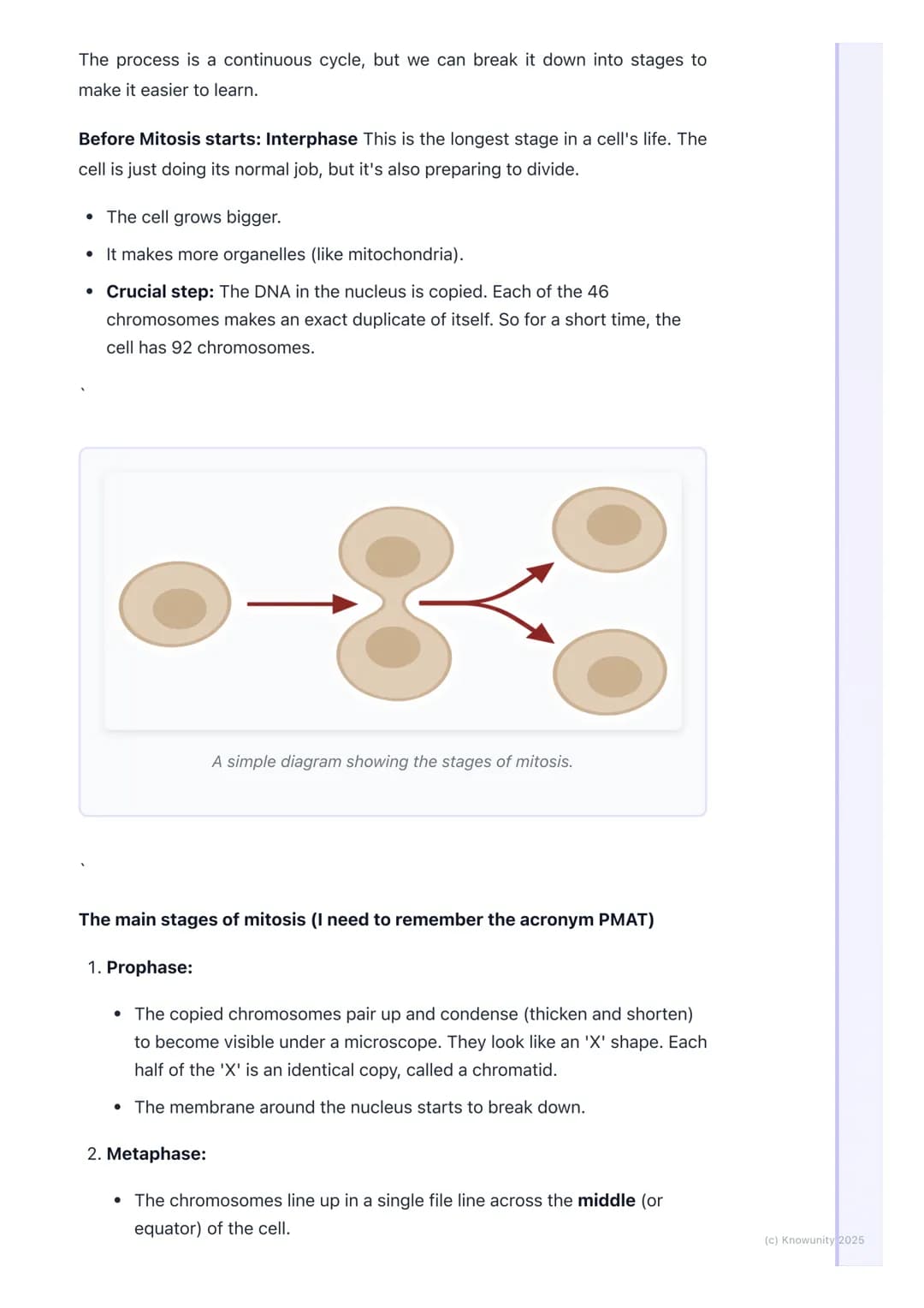# Cell Division (Mitosis)

What is mitosis and why is it important?

Mitosis is a type of cell division. It's the process our body cells use