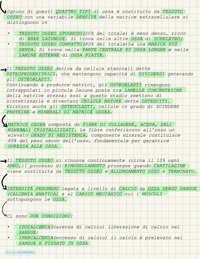 LEZIONE 1- L'ANATOMIA FORMA DEI VIVENTI
COS'È L'ANATOMIA?
L'anatomia è la scienza che studia l'interno del corpo. I primi
studi ANATOMICI po