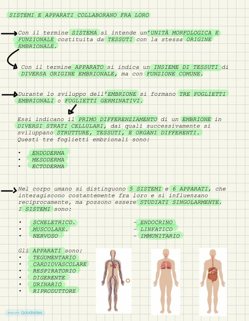 LEZIONE 1- L'ANATOMIA FORMA DEI VIVENTI
COS'È L'ANATOMIA?
L'anatomia è la scienza che studia l'interno del corpo. I primi
studi ANATOMICI po