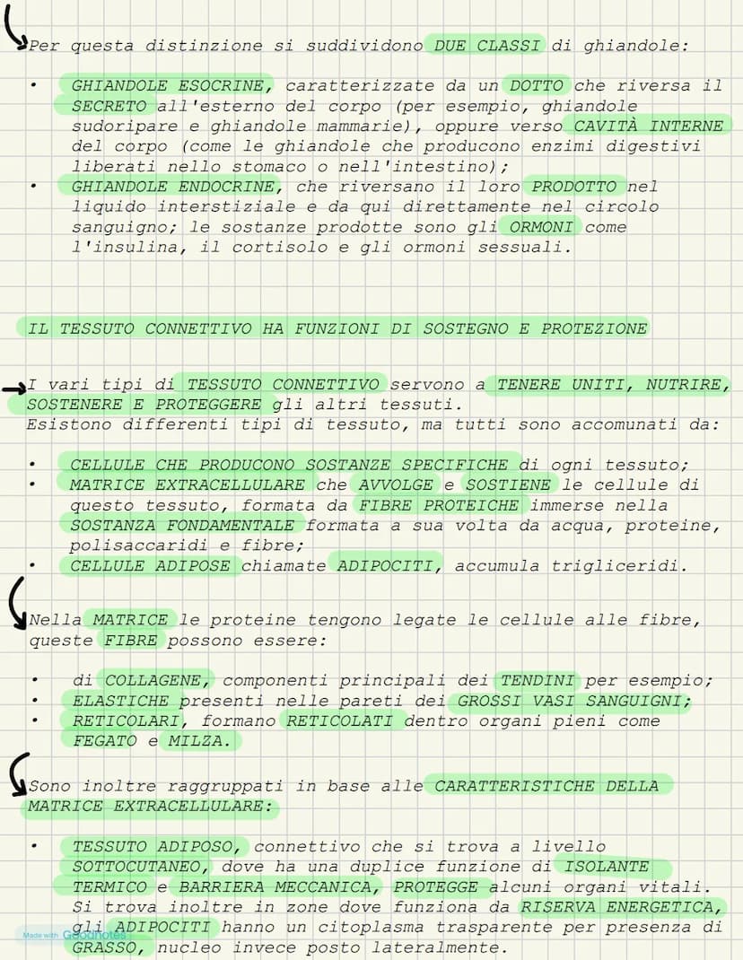 LEZIONE 1- L'ANATOMIA FORMA DEI VIVENTI
COS'È L'ANATOMIA?
L'anatomia è la scienza che studia l'interno del corpo. I primi
studi ANATOMICI po