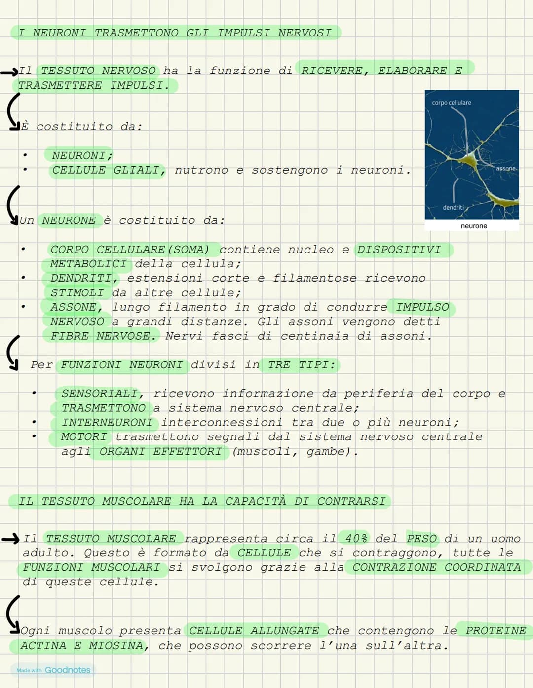 LEZIONE 1- L'ANATOMIA FORMA DEI VIVENTI
COS'È L'ANATOMIA?
L'anatomia è la scienza che studia l'interno del corpo. I primi
studi ANATOMICI po