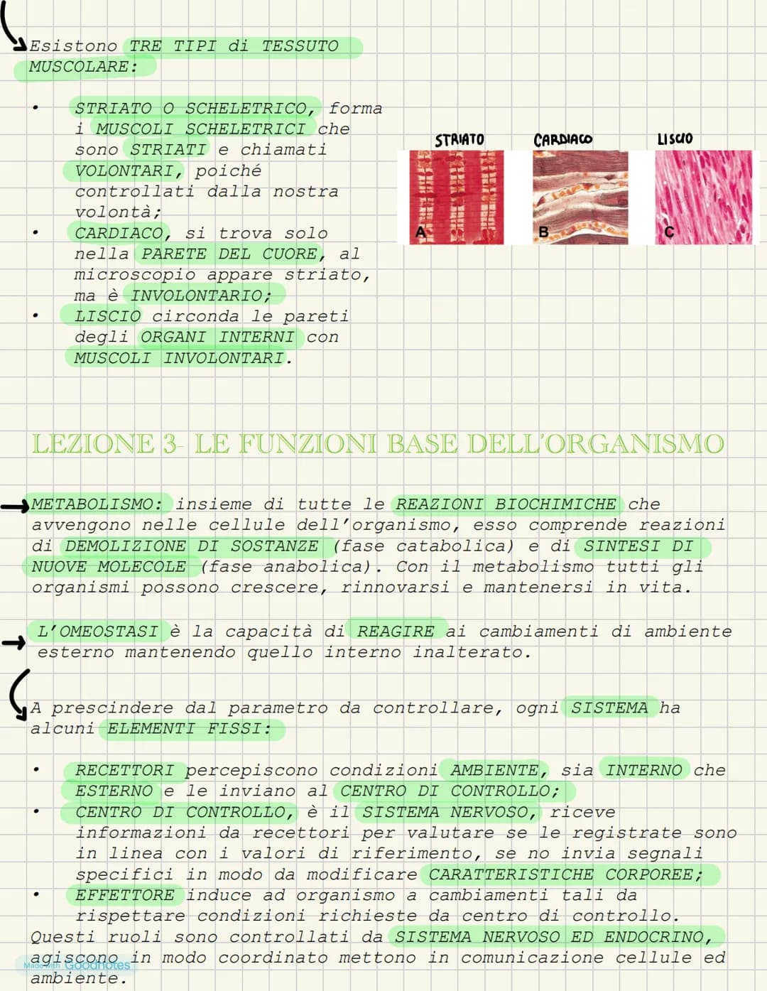 LEZIONE 1- L'ANATOMIA FORMA DEI VIVENTI
COS'È L'ANATOMIA?
L'anatomia è la scienza che studia l'interno del corpo. I primi
studi ANATOMICI po