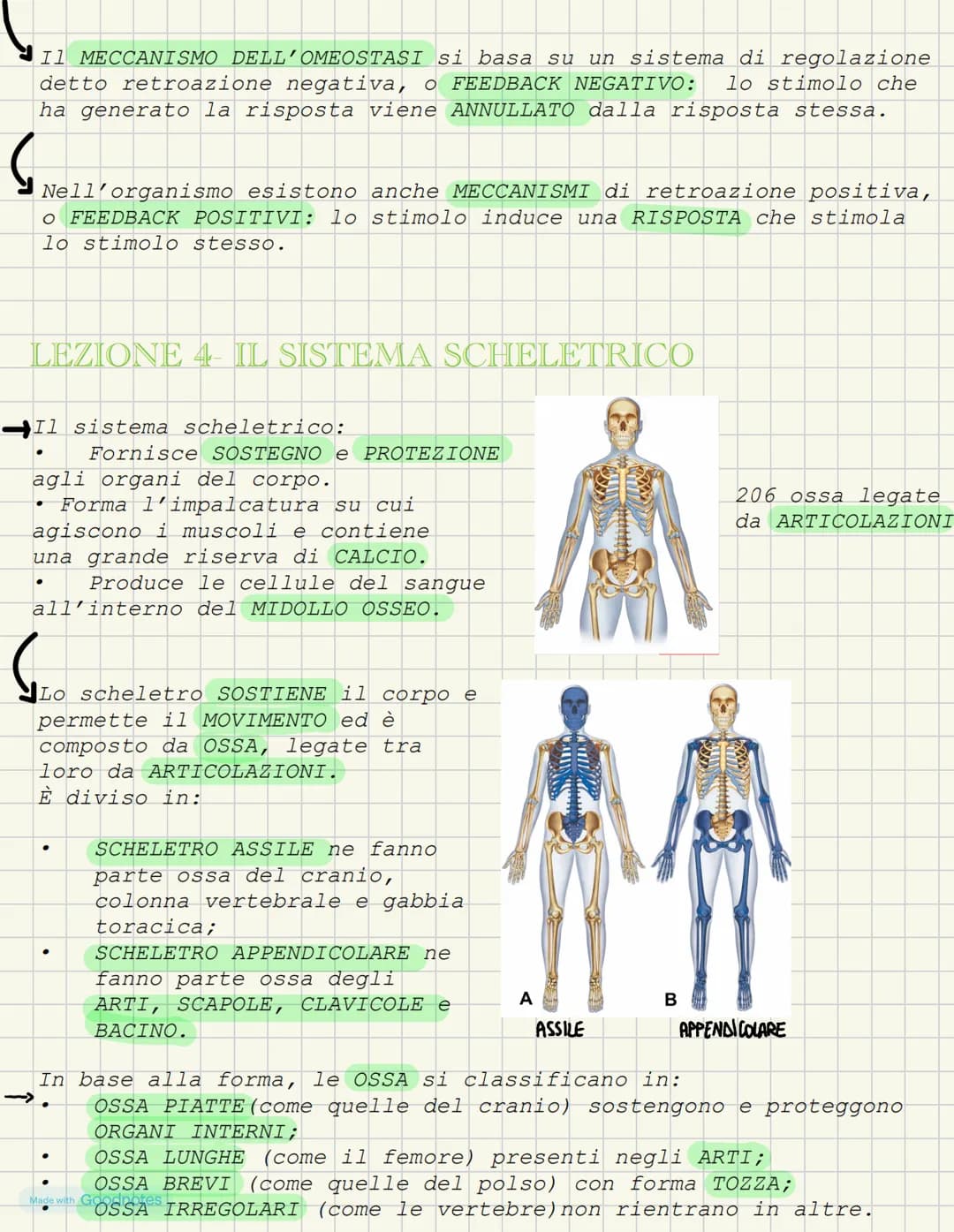 LEZIONE 1- L'ANATOMIA FORMA DEI VIVENTI
COS'È L'ANATOMIA?
L'anatomia è la scienza che studia l'interno del corpo. I primi
studi ANATOMICI po