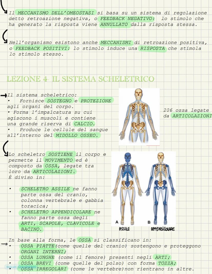 LEZIONE 1- L'ANATOMIA FORMA DEI VIVENTI
COS'È L'ANATOMIA?
L'anatomia è la scienza che studia l'interno del corpo. I primi
studi ANATOMICI po