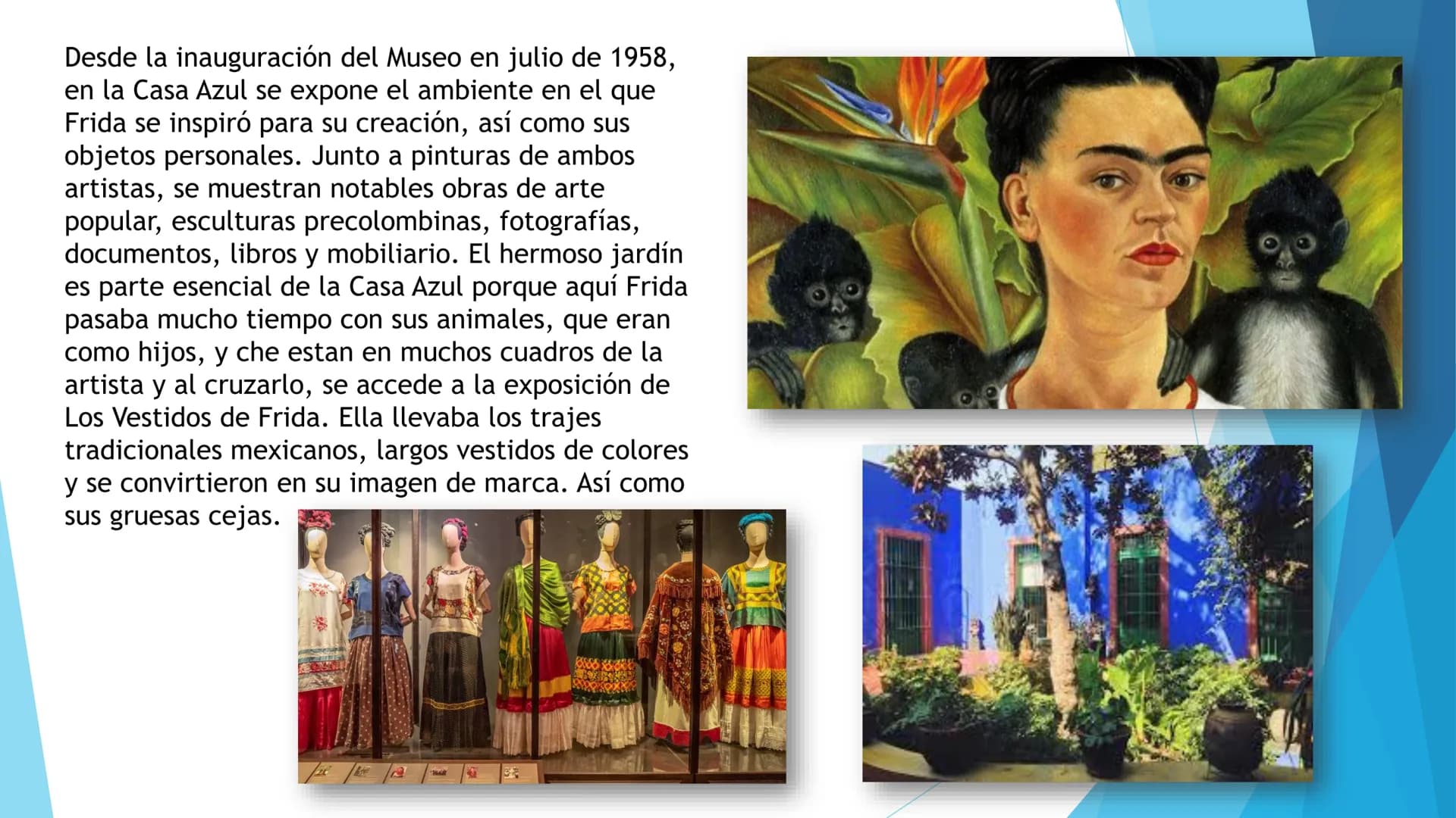 DRES
P
MUSEO
FRIDA KAHLO LA CASA AZUL
El Museo Frida Kahlo está ubicado en la calle de
Londres 247, en uno de los barrios más antiguos de la