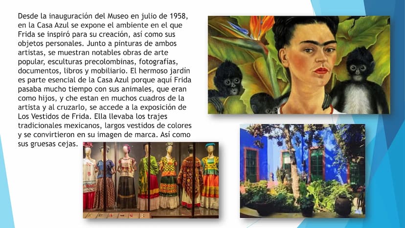 DRES
P
MUSEO
FRIDA KAHLO LA CASA AZUL
El Museo Frida Kahlo está ubicado en la calle de
Londres 247, en uno de los barrios más antiguos de la