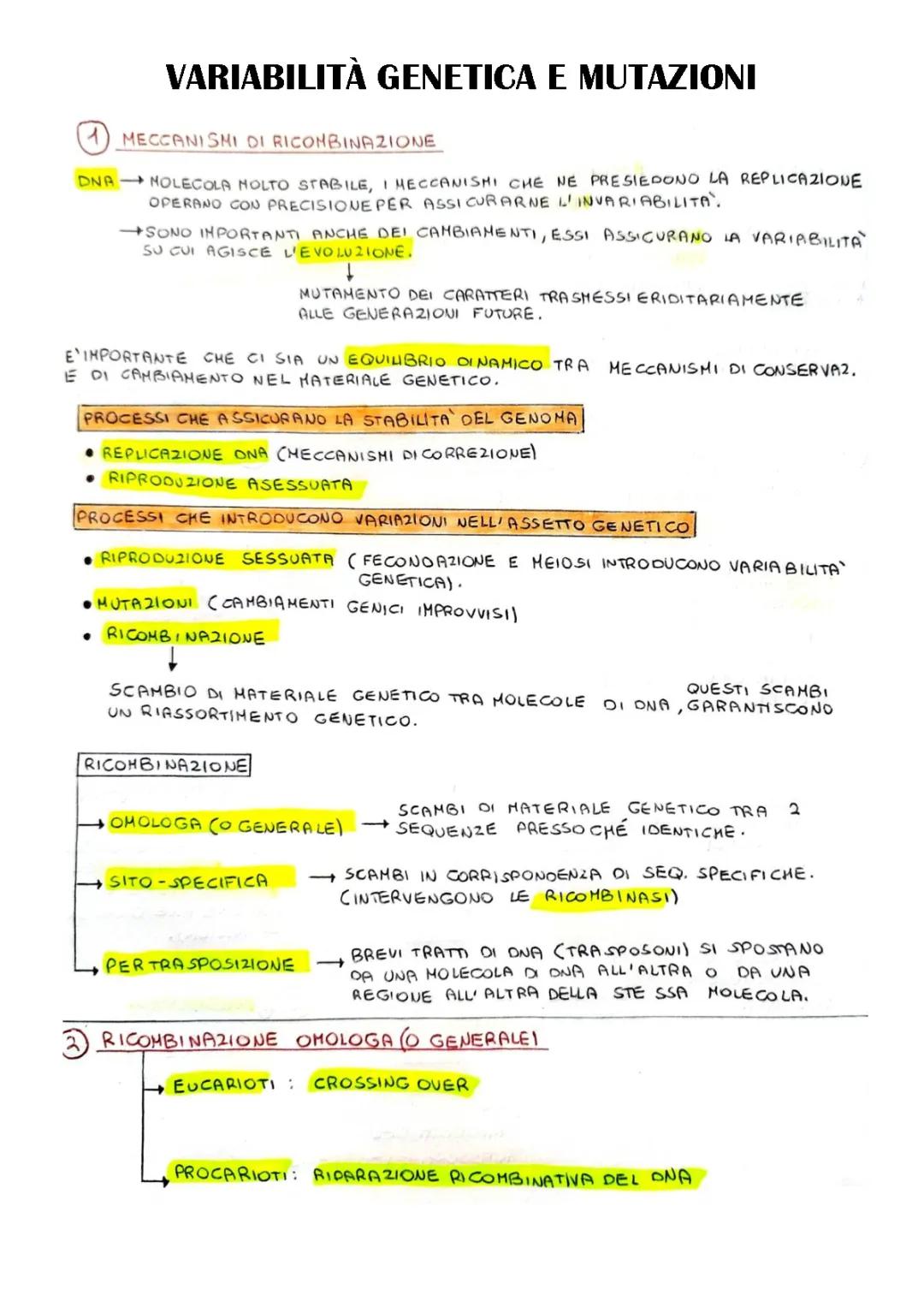 VARIABILTÀ GENETICA E MUTAZIONI (SCHEMA)