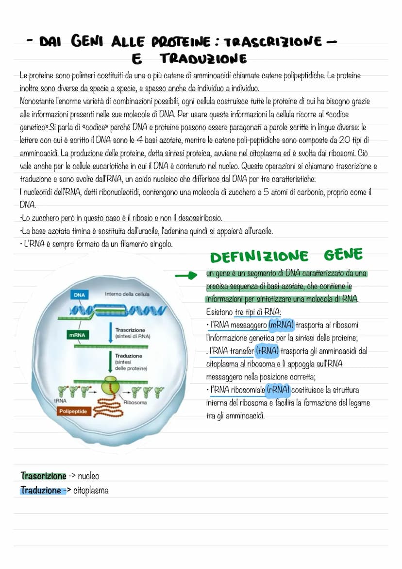 - IL DNA E IL MATERIALE
GENETICO-
L'eredità legata al sesso ,rappresentò per la genetica un passaggio di fondamentale importanza, poiché dim