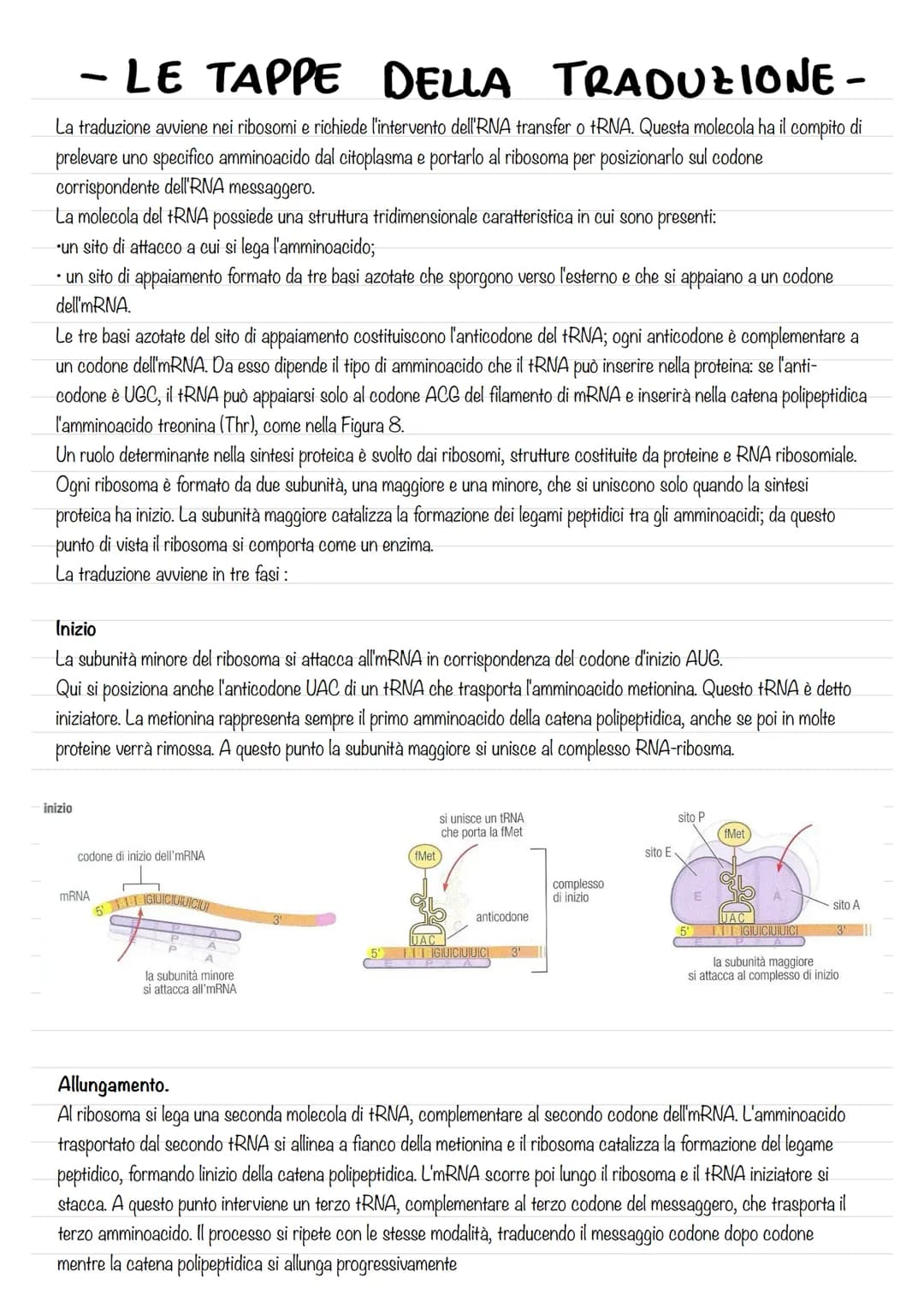 - IL DNA E IL MATERIALE
GENETICO-
L'eredità legata al sesso ,rappresentò per la genetica un passaggio di fondamentale importanza, poiché dim