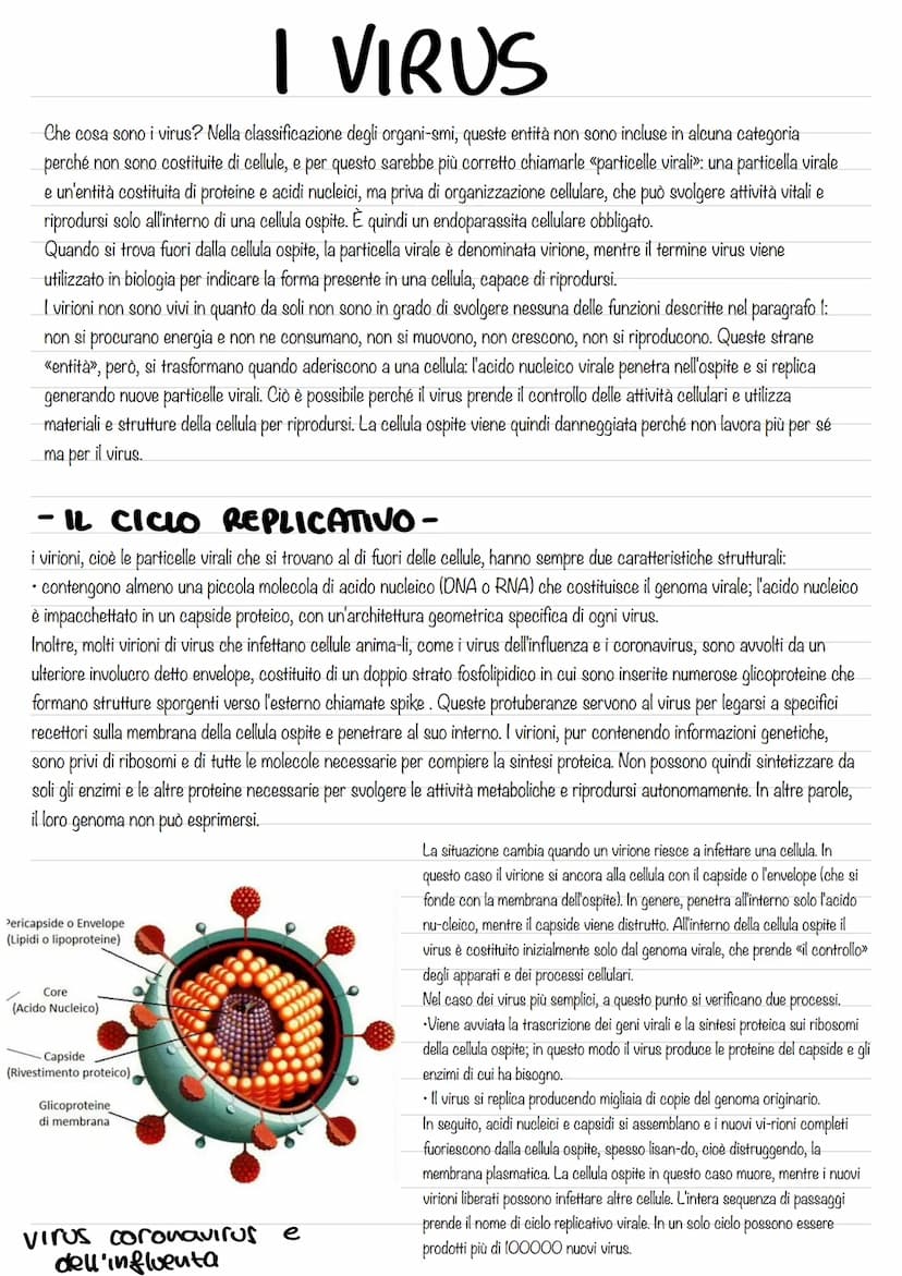 - IL DNA E IL MATERIALE
GENETICO-
L'eredità legata al sesso ,rappresentò per la genetica un passaggio di fondamentale importanza, poiché dim