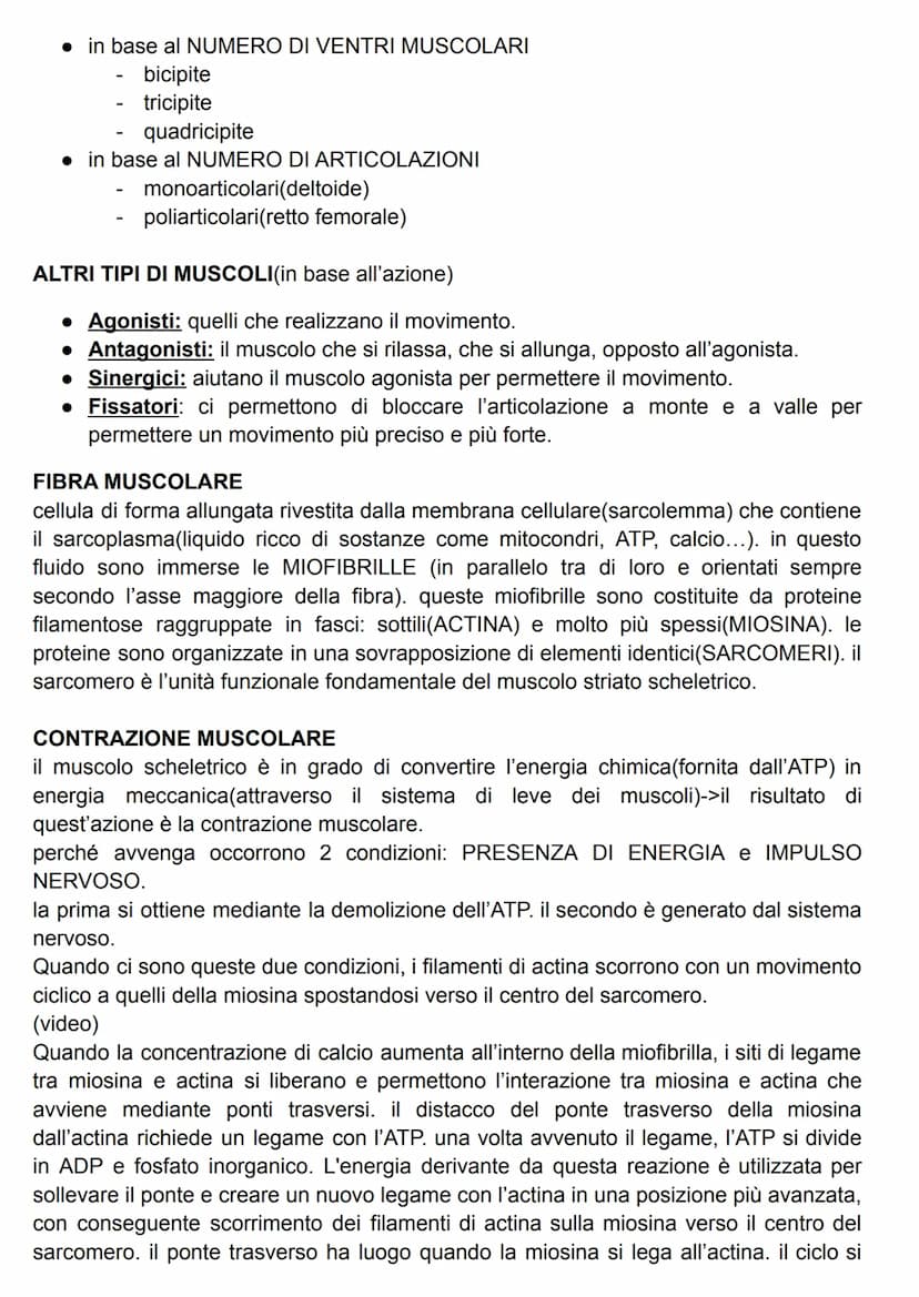 FUNZIONE DEL SISTEMA MUSCOLARE
attraverso l'azione caratteristica di questo sistema(la contrazione), il risultato più
evidente è il MOVIMENT