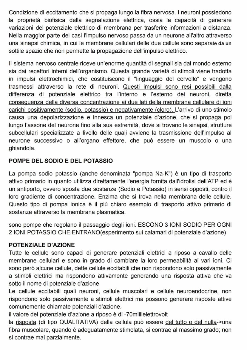FUNZIONE DEL SISTEMA MUSCOLARE
attraverso l'azione caratteristica di questo sistema(la contrazione), il risultato più
evidente è il MOVIMENT