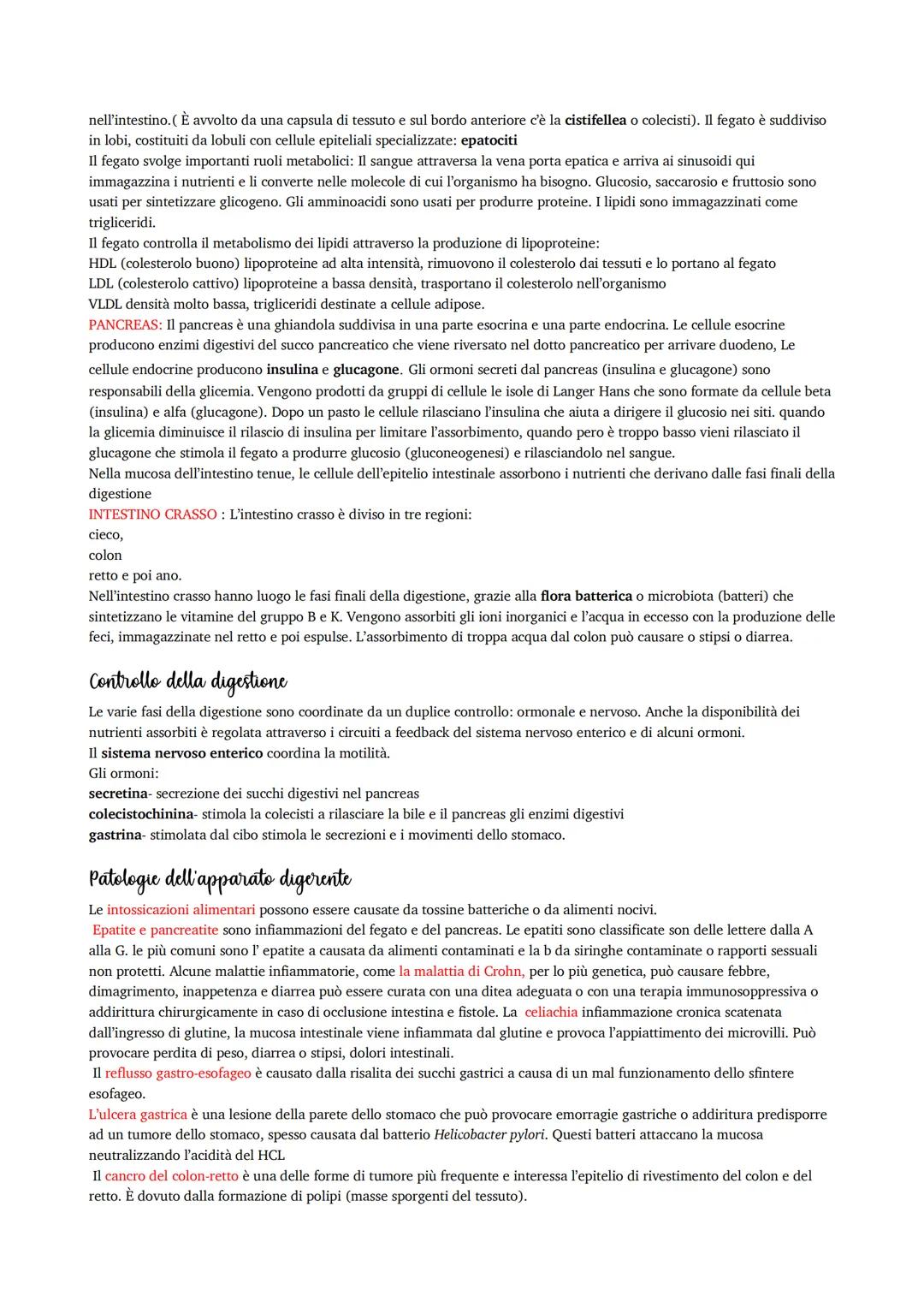 # L'apparato digerente

Grazie all'apparato digerente, gli alimenti vengono trasformati nei nutrienti di cui il nostro organismo ha bisogno
