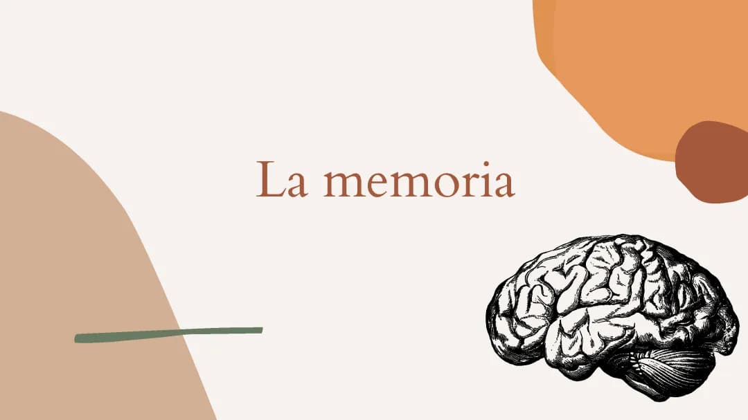 Come Funziona la Memoria: Breve e Lunga Termine, Esercizi e Consigli