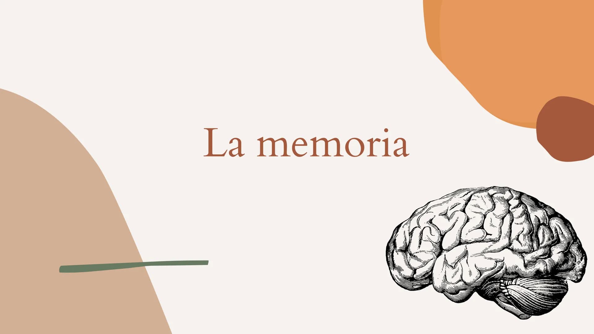 La memoria Che cos'è la memoria?
La memoria è un'attività di base svolta dalla mente incaricata di
conservare dati,come idee,sensazioni,avve