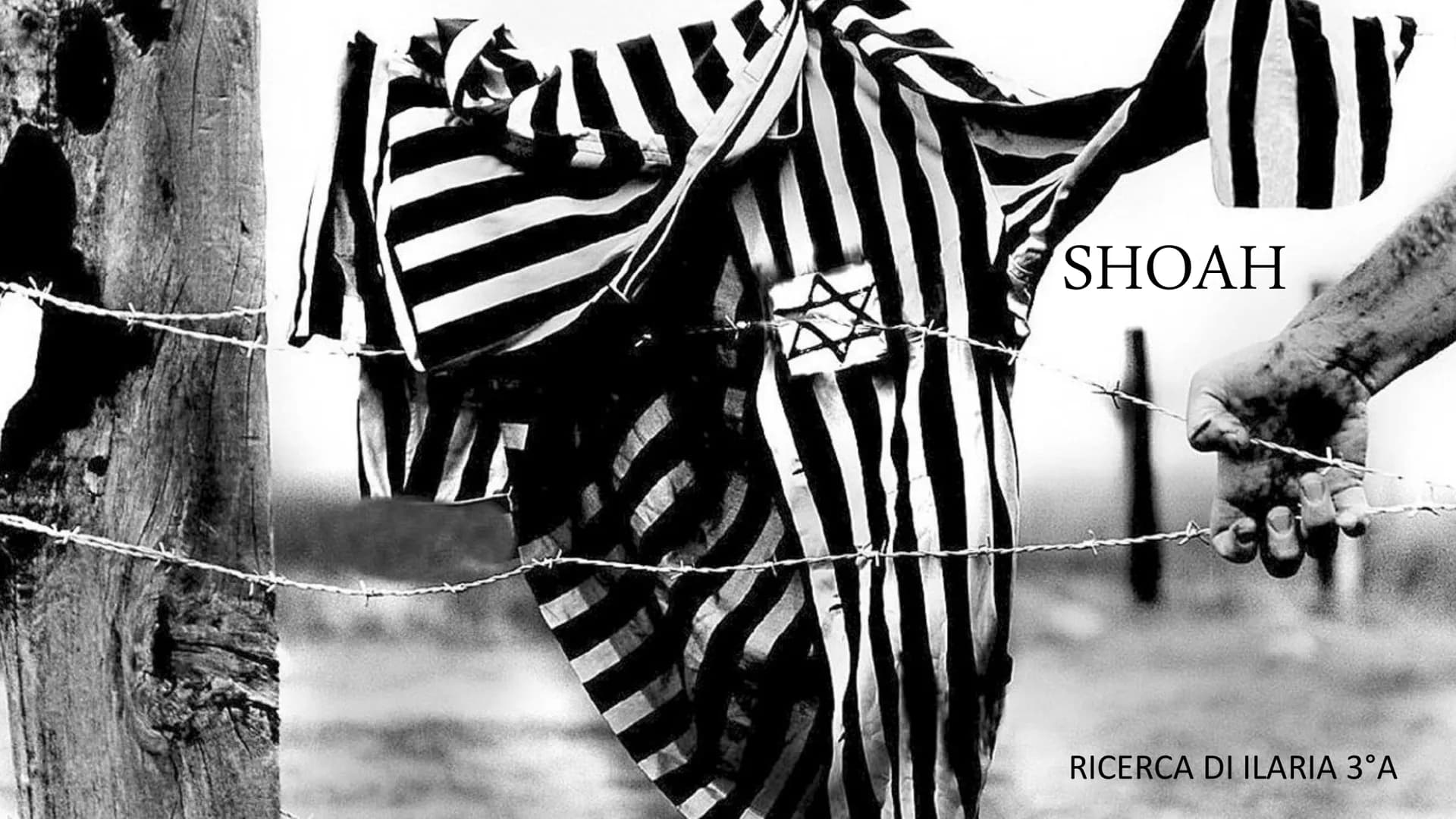 W
SHOAH
RICERCA DI ILARIA 3°A coggle
Storia:
lo sterminio degli ebrei
se questo è un uomo
STE
SHOAH
made for free areligione:
Ebraismo
Tecno
