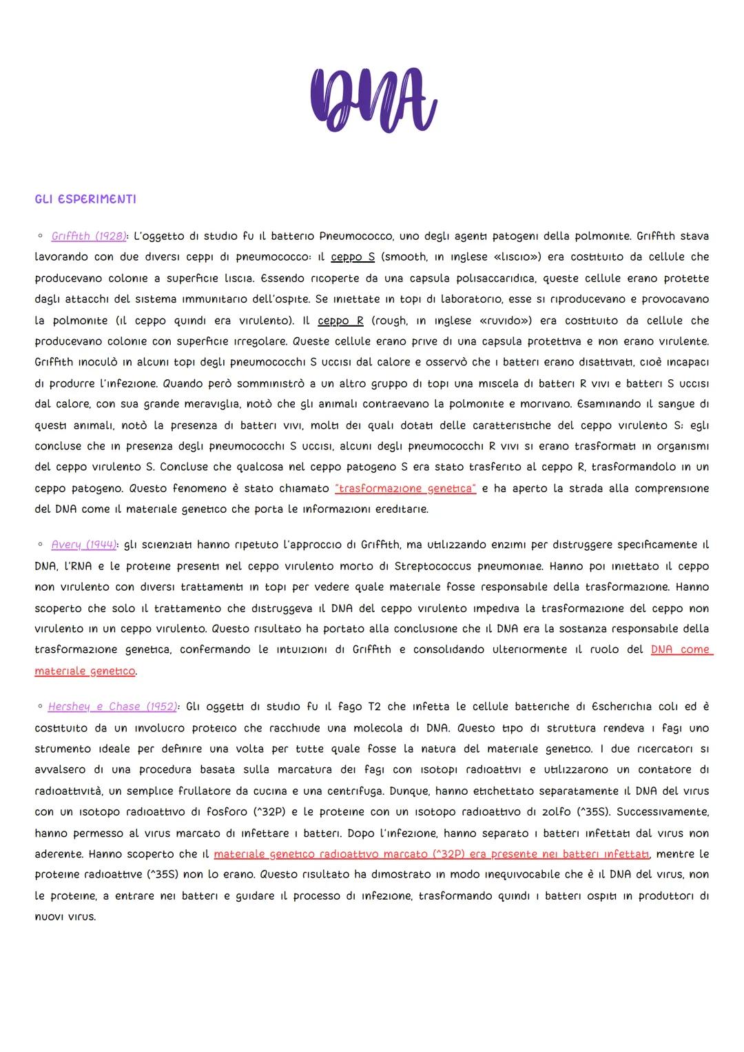 GLI ESPERIMENTI
DNA
• Griffith (1928): L'oggetto di studio fu il batterio Pneumococco, uno degli agenti patogeni della polmonite. Griffith s