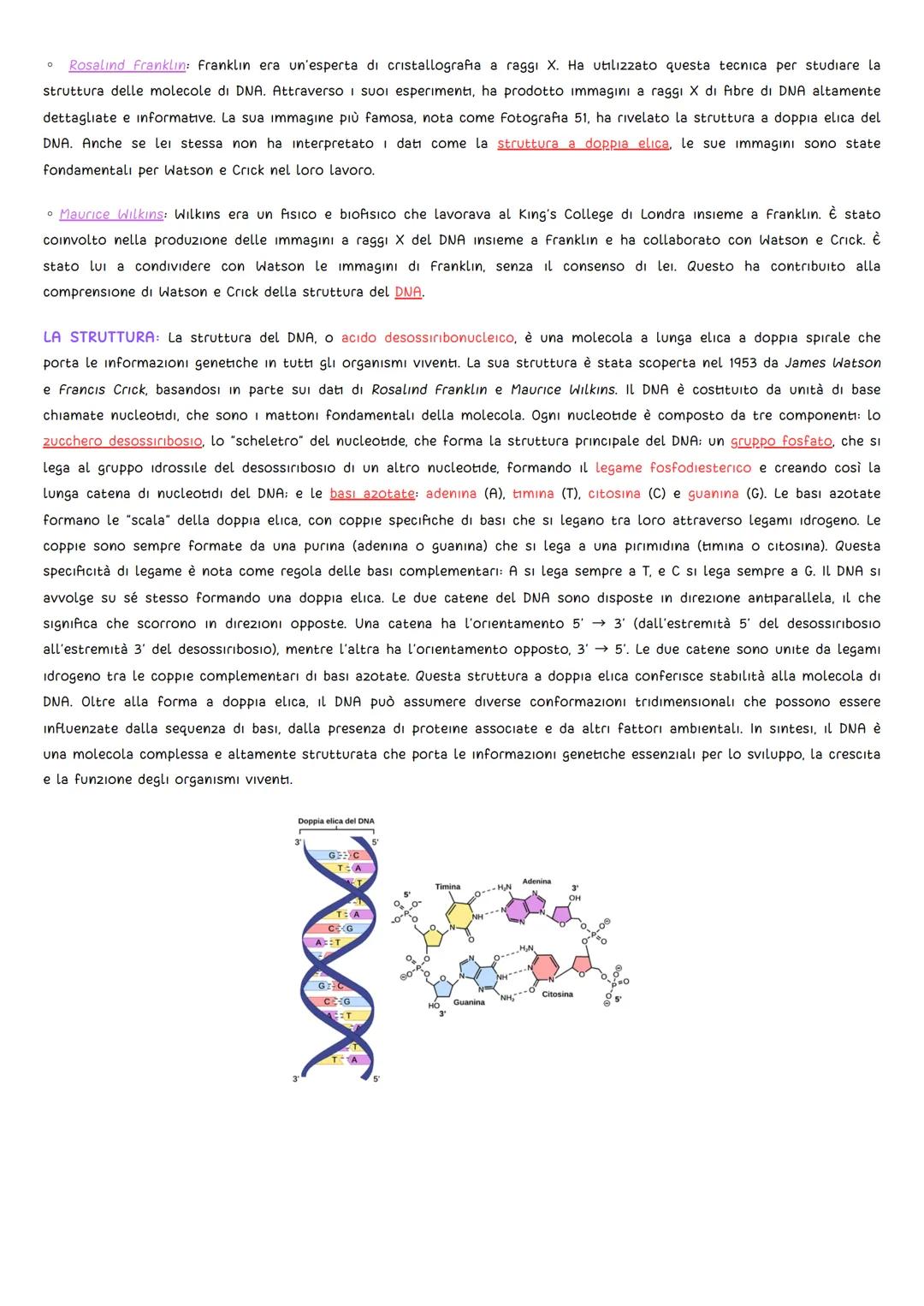 GLI ESPERIMENTI
DNA
• Griffith (1928): L'oggetto di studio fu il batterio Pneumococco, uno degli agenti patogeni della polmonite. Griffith s