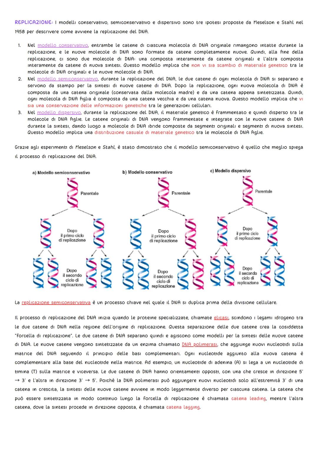 GLI ESPERIMENTI
DNA
• Griffith (1928): L'oggetto di studio fu il batterio Pneumococco, uno degli agenti patogeni della polmonite. Griffith s