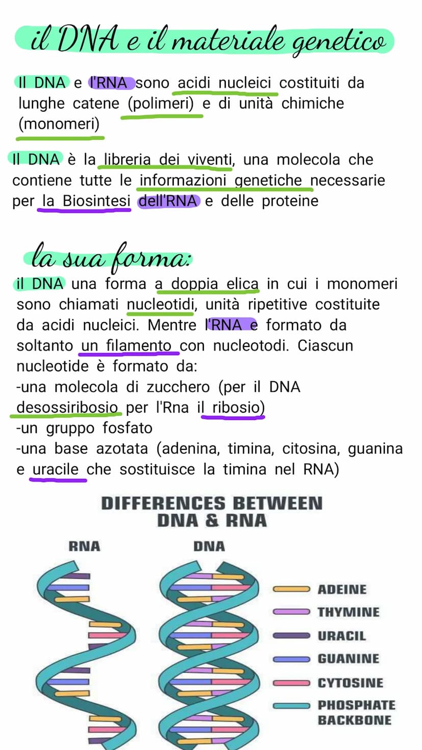 V il DNA e il materiale genetico
Il DNA e l'RNA sono acidi nucleici costituiti da
lunghe catene (polimeri) e di unità chimiche
(monomeri)
Il