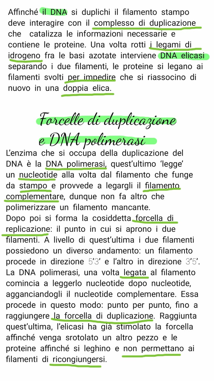 V il DNA e il materiale genetico
Il DNA e l'RNA sono acidi nucleici costituiti da
lunghe catene (polimeri) e di unità chimiche
(monomeri)
Il