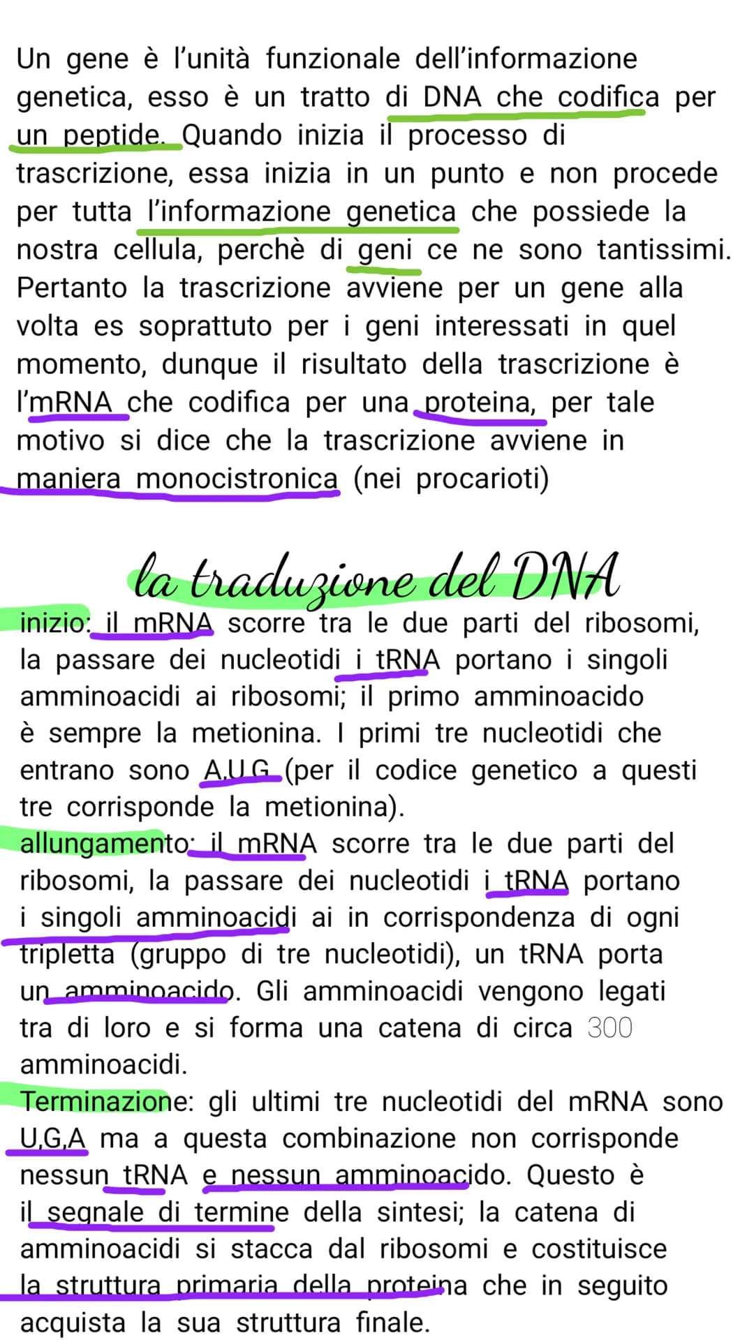 V il DNA e il materiale genetico
Il DNA e l'RNA sono acidi nucleici costituiti da
lunghe catene (polimeri) e di unità chimiche
(monomeri)
Il
