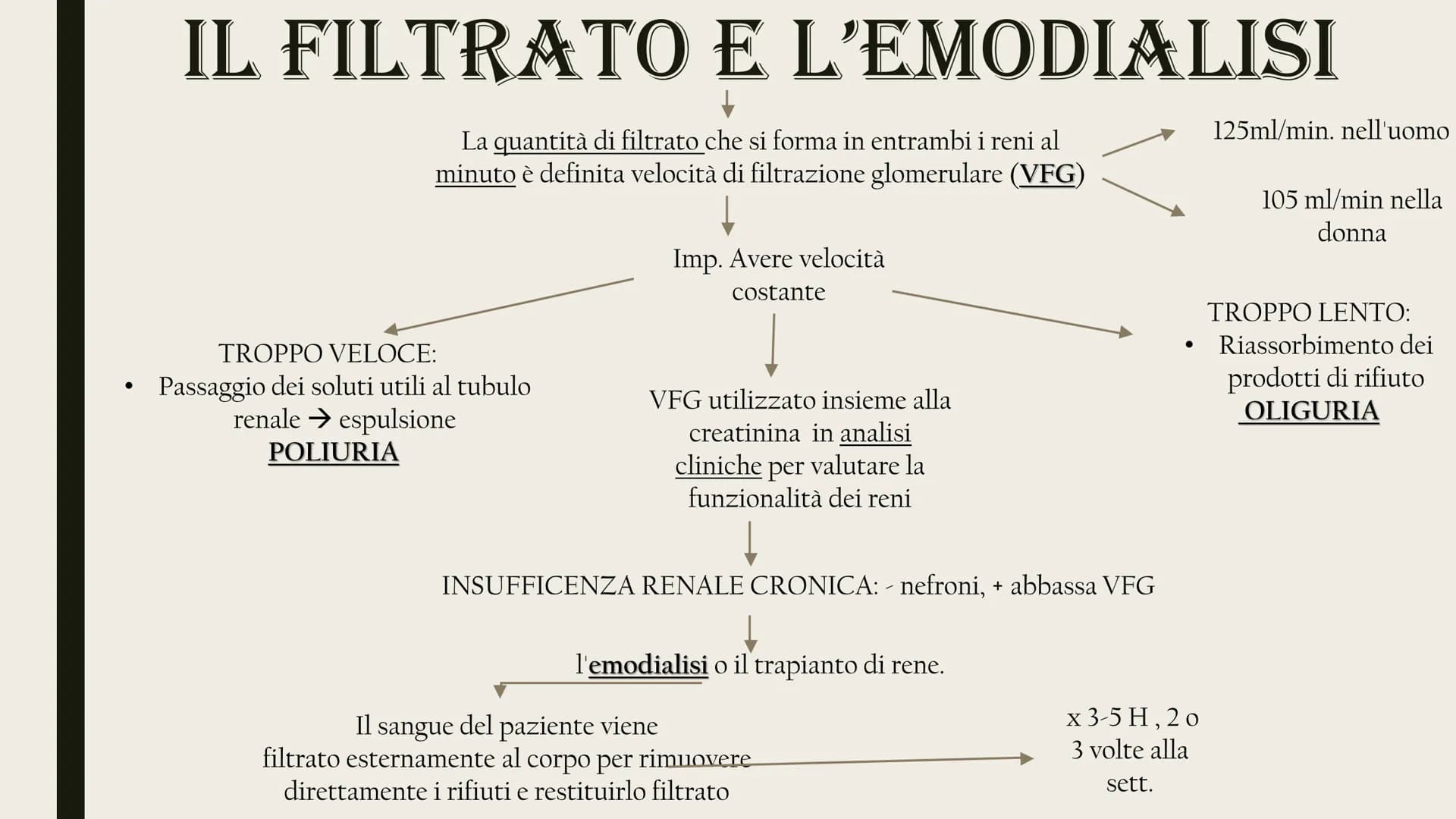 L'APPARATO
ESCRETORE
Rene
Uretere
-Vescica urinaria
-Uretra
2 reni
Uretra
2 ureteri
Vescica
urinaria ESCREZIONE DI MOLECOLE DI RIFIUTO
Azoto