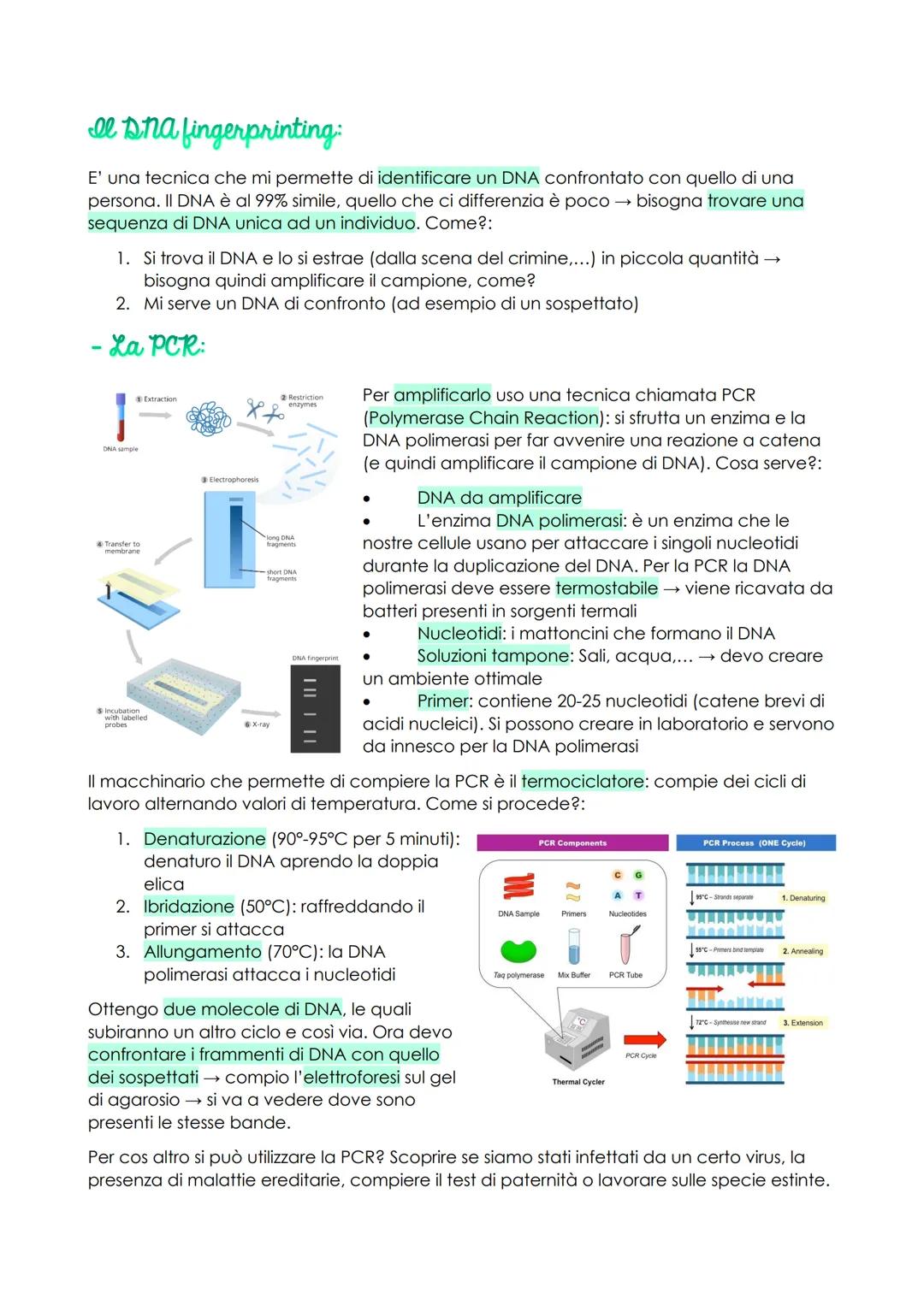 # Le biotecnologie

Le biotecnologie sono tutte quelle tecnologie che permettono di mutare gli organismi
viventi. Siamo passati dal lavorare