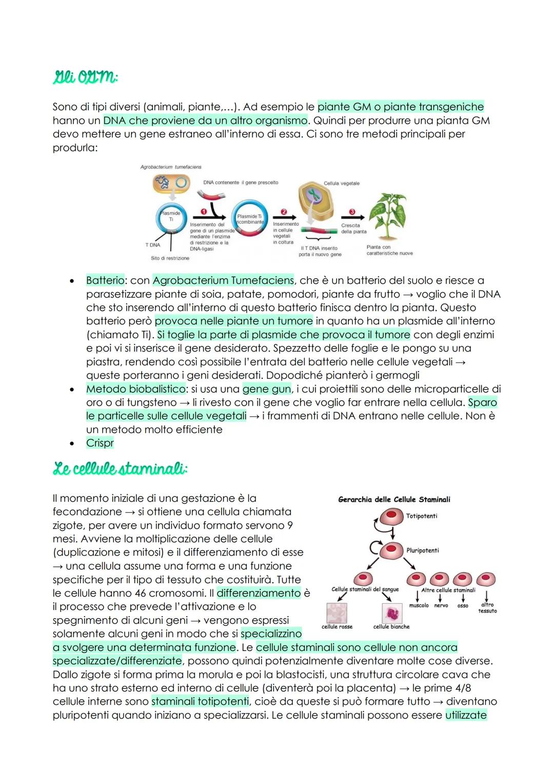 # Le biotecnologie

Le biotecnologie sono tutte quelle tecnologie che permettono di mutare gli organismi
viventi. Siamo passati dal lavorare
