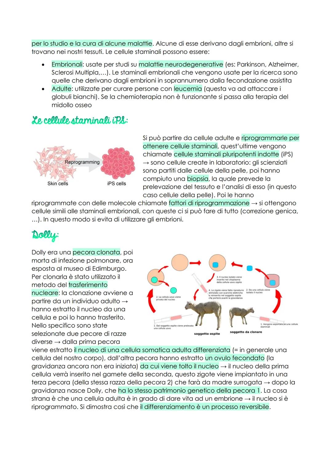 # Le biotecnologie

Le biotecnologie sono tutte quelle tecnologie che permettono di mutare gli organismi
viventi. Siamo passati dal lavorare