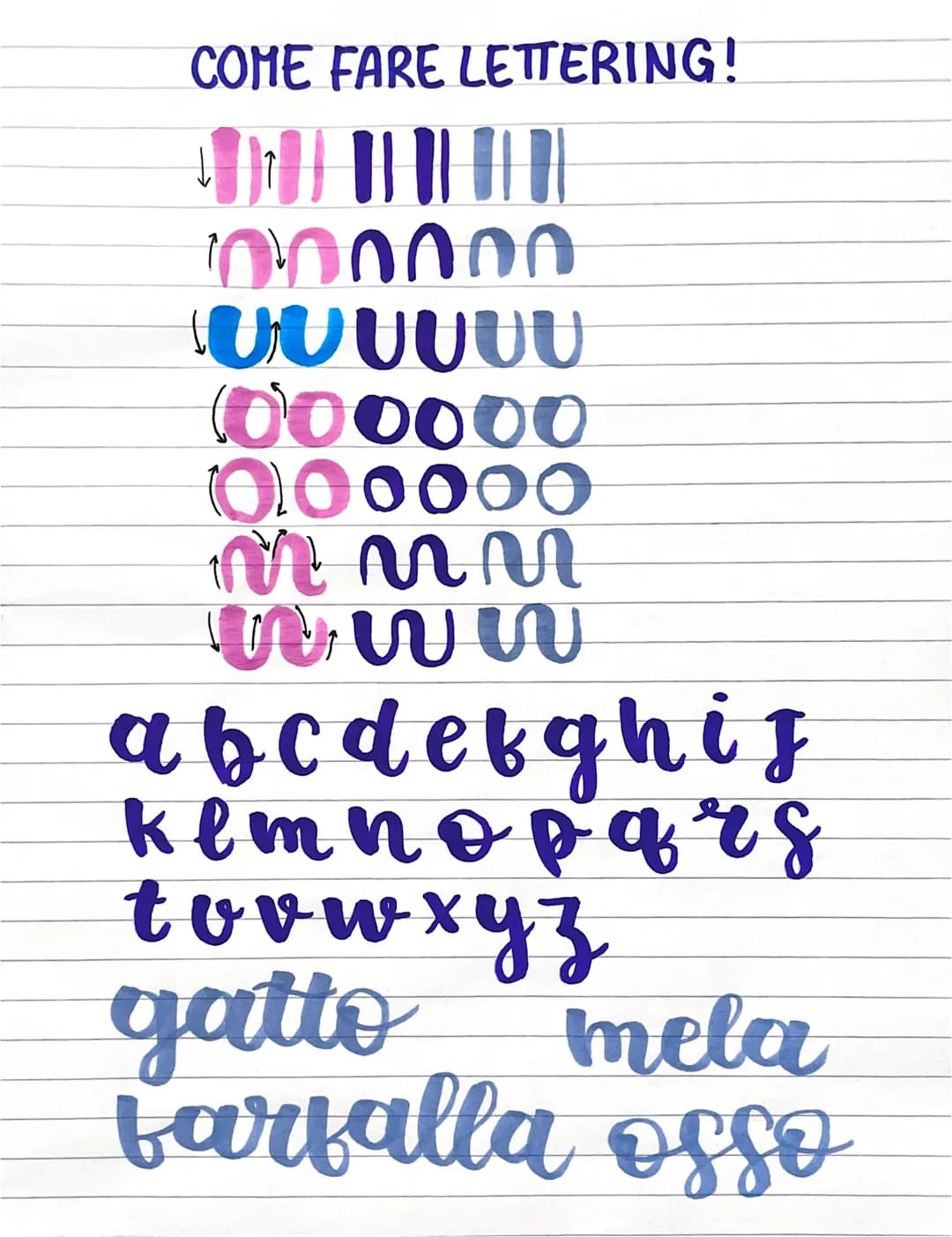 COME FARE LETTERING!
000000
A U U U U U U
000000
00⁰000
m n n
- Ո: ՄՍ ՄՍ
a b c d e f g h i j
kl m n o p q r s
t u v w x y z
gatto mela
farfa
