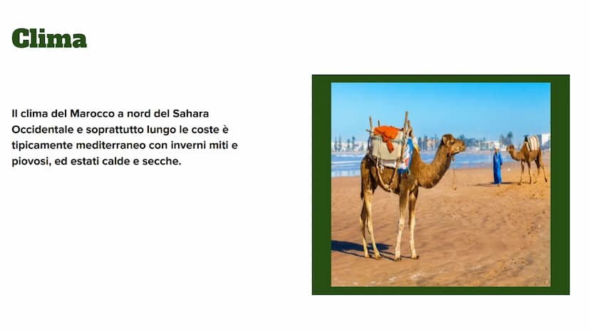 
<p>Il Marocco occupa una superficie di 442.311 km² e ha una popolazione di circa 36 milioni di abitanti. La popolazione urbana costituisce 