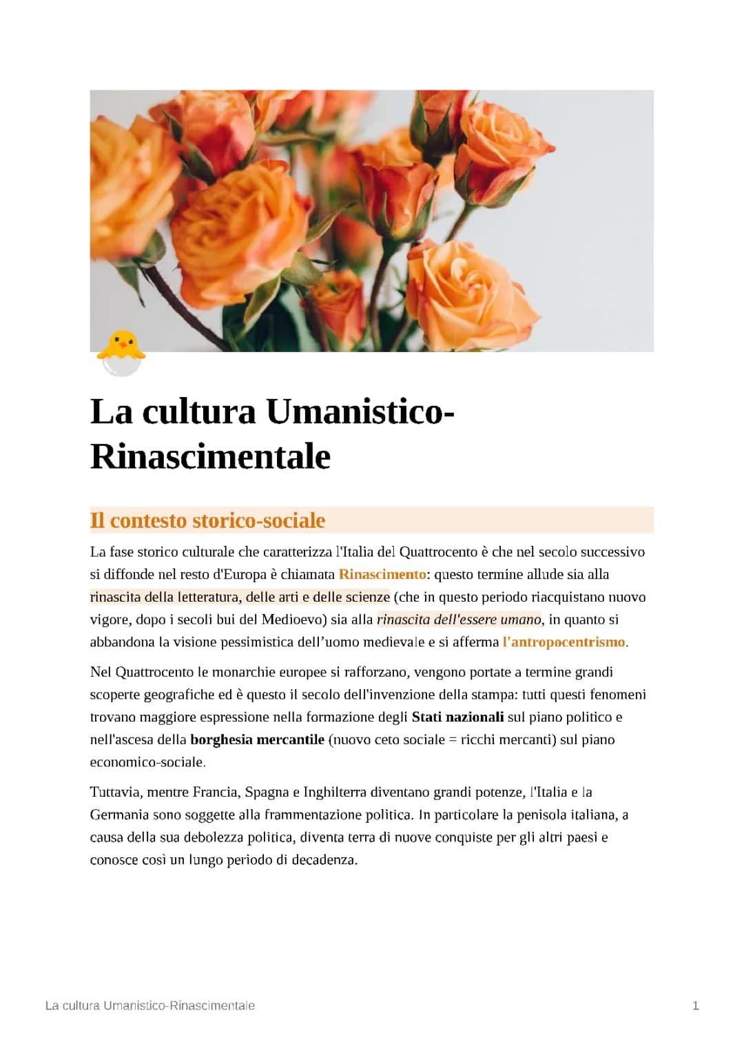 La cultura umanistico-rinascimentale