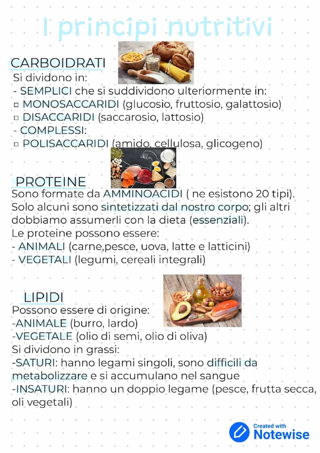 Know I principi nutritivi thumbnail