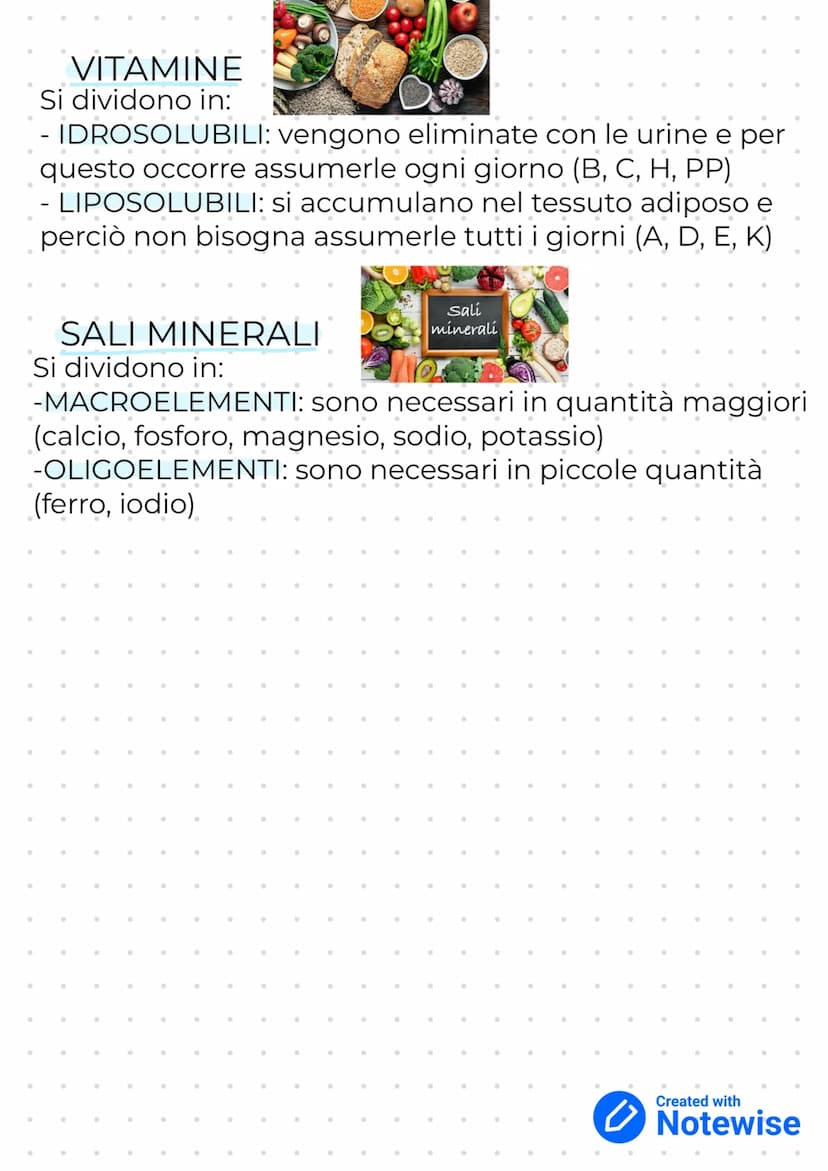 I principi notritivi
CARBOIDRATI
Si dividono in:
- SEMPLICI che si suddividono ulteriormente in:
O MONOSACCARIDI (glucosio, fruttosio, galat