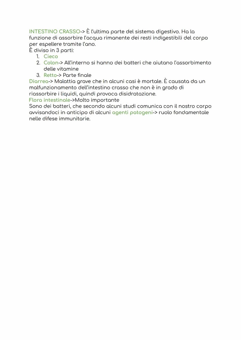 
<p>L'apparato digerente si occupa di fornire all'organismo i nutrienti necessari attraverso l'assunzione di cibo e svolge azioni meccaniche