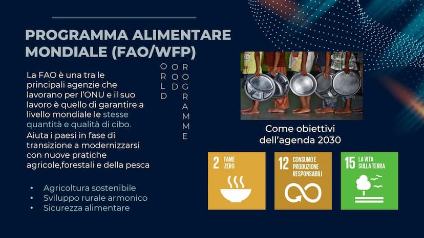 L'ONU
ORGANIZZAZIONE
DELLE
ΝΑΖΙΟΝΙ
UNITE CHE COS'È L'ONU E CHI NE FA PARTE
L'ONU è una sigla che sta per "organizzazione delle nazioni unite