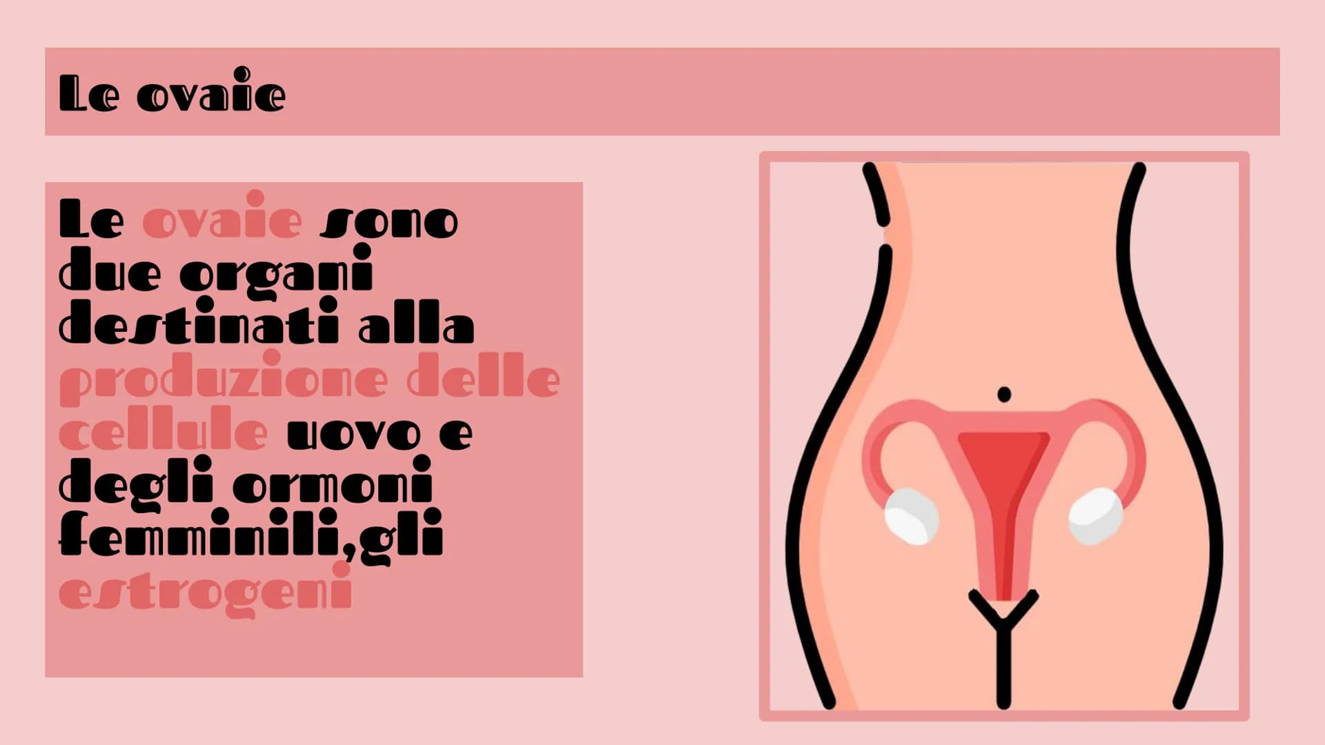 APPARATO FEMMINILE E
CICLO OVARICO
Di Femminò Giulia,Premoli
Michele,lozia Katia,Jovanova Angelica
e Loubna Hsassa
Tube di Falloppio
Ovarie
