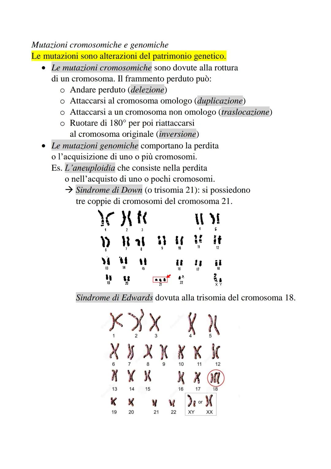 2-Divisione cellulare e cromosomi
La divisione cellulare è un processo che permette
a una cellula di dare origine a due cellule figlie.
• Pr