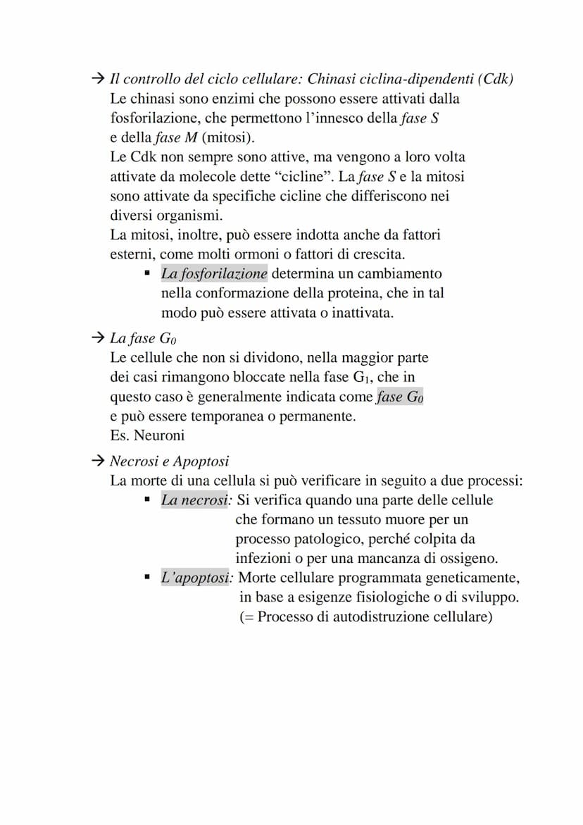 2-Divisione cellulare e cromosomi
La divisione cellulare è un processo che permette
a una cellula di dare origine a due cellule figlie.
• Pr