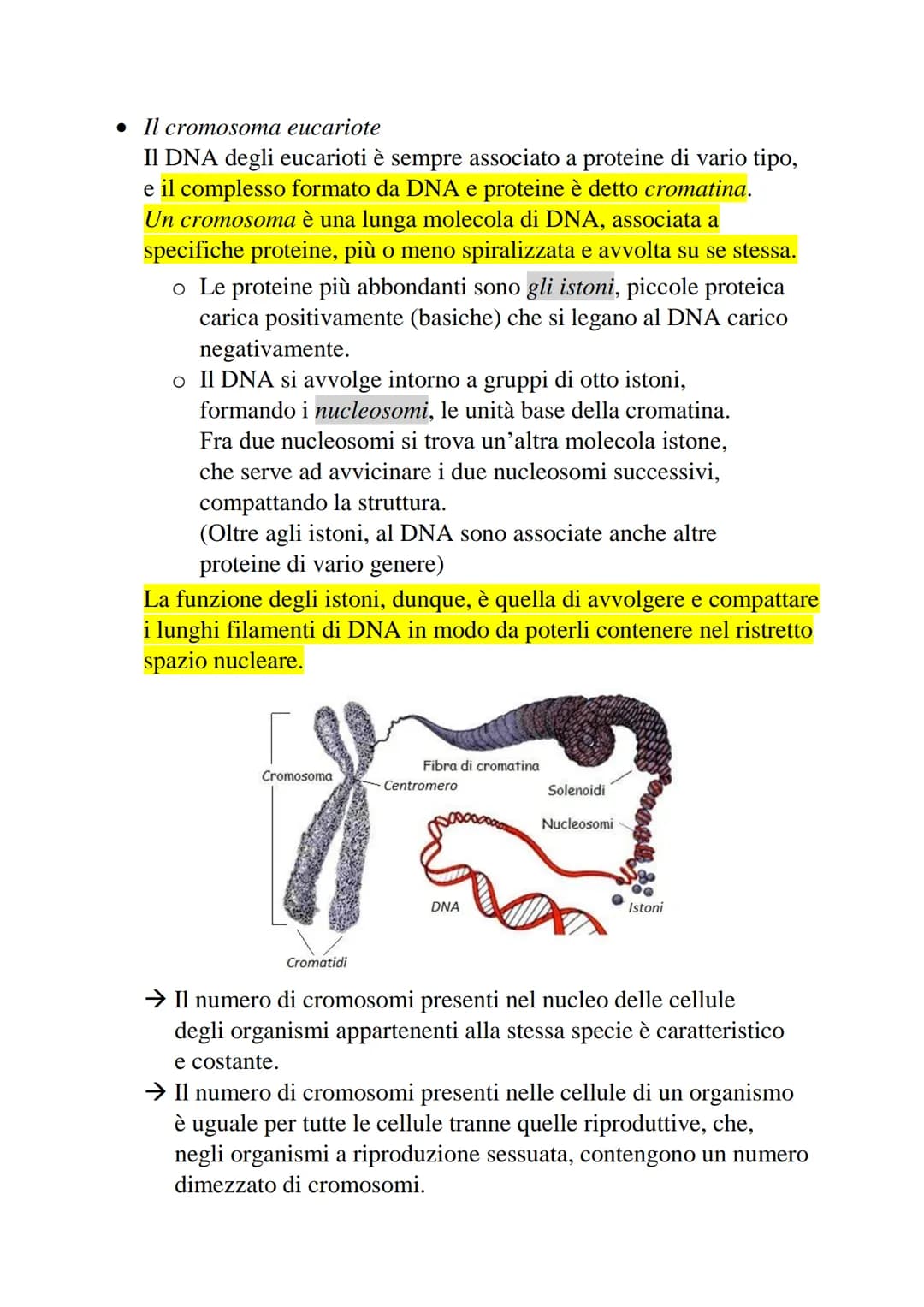 2-Divisione cellulare e cromosomi
La divisione cellulare è un processo che permette
a una cellula di dare origine a due cellule figlie.
• Pr